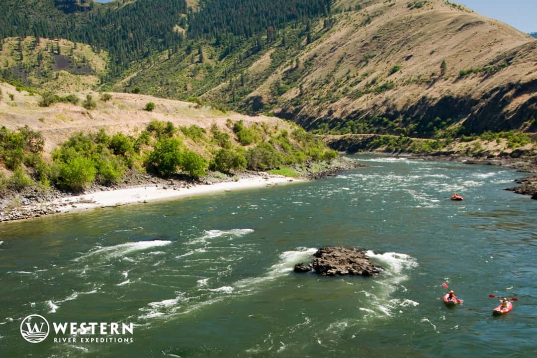 The lower Salmon River rolls on
