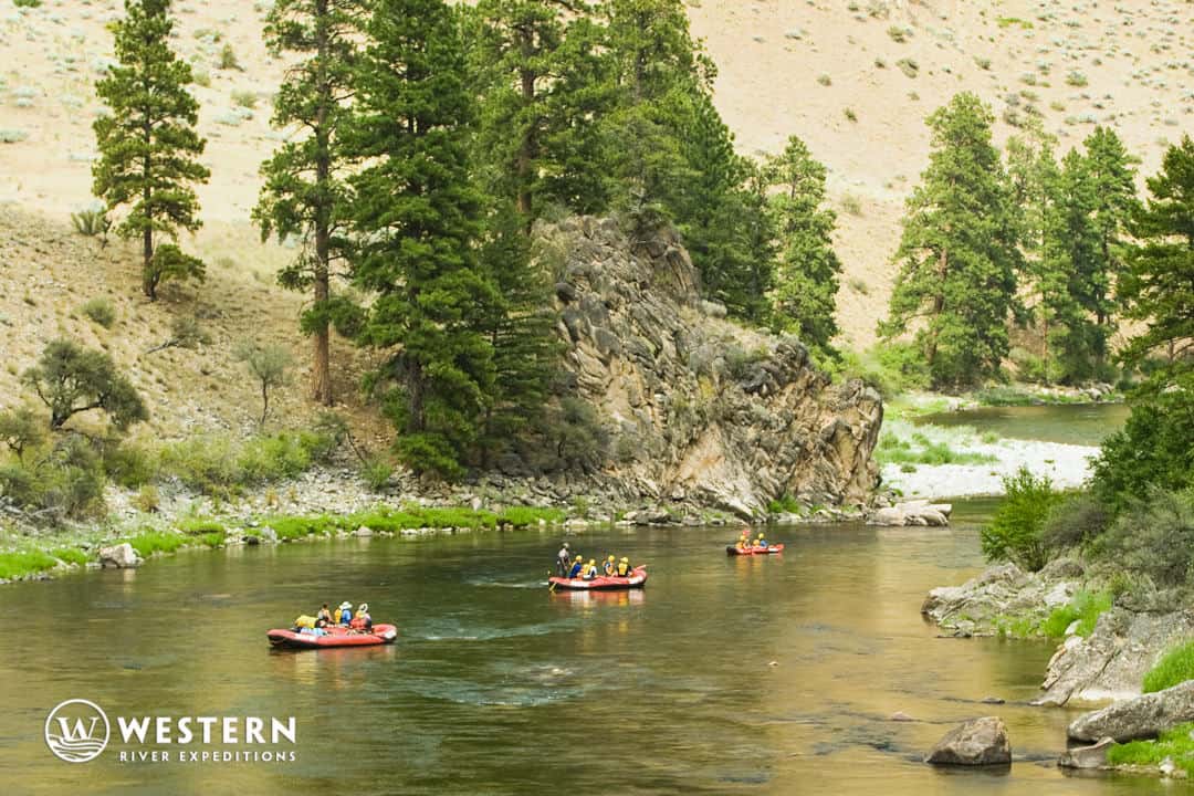 Flotilla of rafts on the Middle Fork