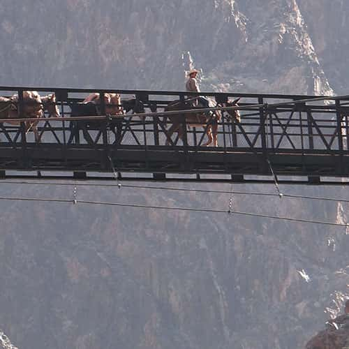 Kaibab Suspension Bridge & Phantom Ranch