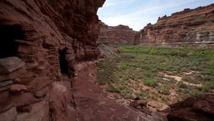 Cataract Canyon Anasazi Ruins