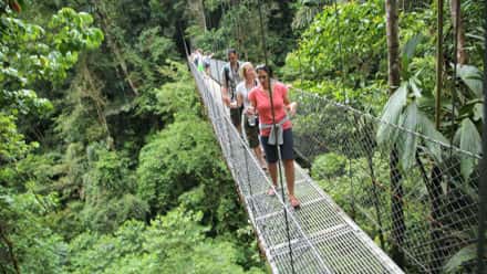 Costa Rica Vacation Package Bridge 2