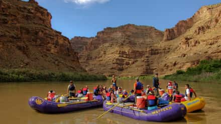 Desolation Canyon Utah Rafting Flotilla