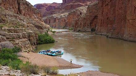 Grand Canyon Upper Andy