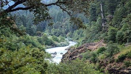 Rogue River Marial Lodge Hike