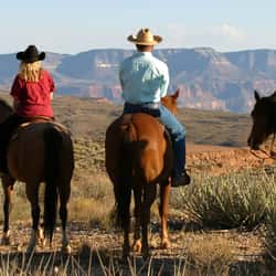 Viewing the Grand Canyon by horseback