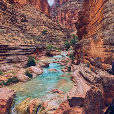 Canyon in Grand Canyon