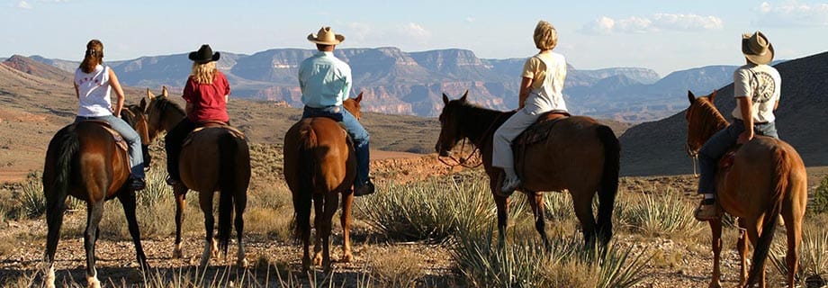 Grand Canyon Lower Ranch Horse