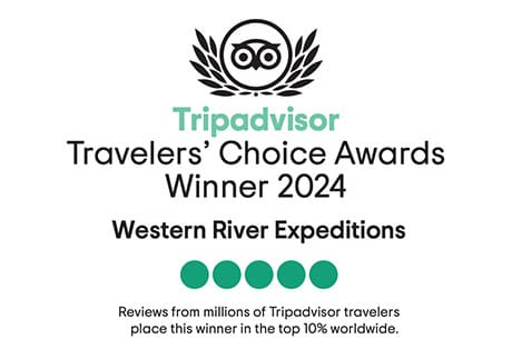 TripAdvisor Travel Awards