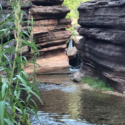 Exploring in Grand Canyon