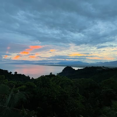 Img 0248