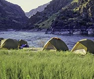 Roomy Tents